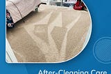 Carpet Care Guide — What to Do after Cleaning Your Carpet?