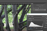 Photoshop Color Correction — How to color correct a photo