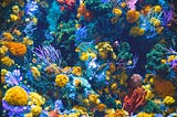 Gene Editing Corals to be more resilient to changing environmental factors.