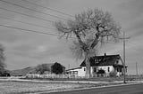 black and white photo of house with big tree beside it