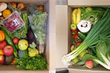 Help us Veggie Box, you’re our only hope…