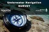 Survey Results: Underwater Navigation