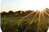 Porque “todos nós prosperamos ou padecemos com os agricultores” (Bernard Baruch)