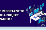 Why Is It Important To Have A Project Manager For Software Development Projects?