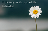 Beauty Lies in the Eyes of the Beholder…Really?
