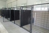 Looking for Top Dog Boarding Services in Auburn?