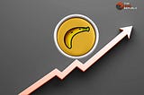 BANANA Made a New All-Time-High: Should You Invest Today?