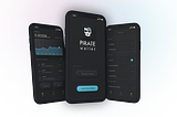 Welcome to the first public beta release of Pirate Wallet for iOS