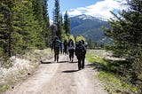 ELK: Lighting the Path Ahead