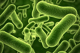 Understanding Foodborne Pathogens: Risks and Preventive Measures