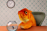 A big golden fish sits upright on a chair in a room, leaning onto a wooden table. On the table there is a fishbowl with a small human inside. Behind the fish, on the wall, there is wallpaper and a clock. The image gives a sense of out-of-placeness.