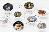 WOOFconnect: A platform for Dog Lovers