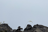 Photo from the top of Mt Townsend on a foggy day, no view, only rocks