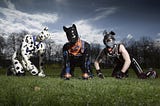 Moralis 3: Why did they become dogs?