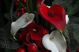 Gratitude unlocks the fullness of life.