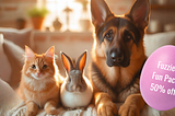 A Paw-Some Easter Collection for Mystery Lovers