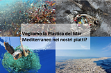 Progetto vincitore: Vogliamo la plastica del Mar Mediterraneo nei nostri piatti?