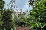 Trees planted in the courtyard of Somerset House