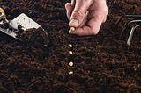 Mindset: The Fertile Soil for Designing Your Best Life