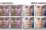 How to Detect Lies with a Machine and Microexpressions