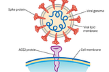 The biggest challenge of Covid-19 vaccine