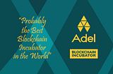 Probably the Best Blockchain Incubator in the World ▲ Adel