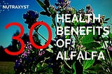 30 Health Benefits Of Alfalfa And Why Should You Care