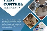 Affordable Pest Control Services TX — MDK Services | Rank #1