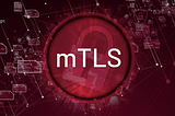 What is mutual TLS (mTLS)?