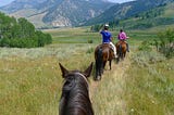 Three horses in a grassy field on a path in Montana with mountains in the background.