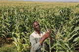 GROW AFRICA — A CALL TO INVEST IN AFRICA’S AGRICULTURE