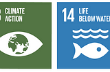 #IYD2022: #MENA #ASEAN #Youth2Youth in solidarity for oceans, forests, climate action