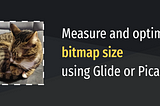 Measure and optimize bitmap size using Glide or Picasso