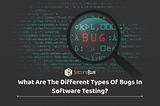 What Are the Different Types of Bugs in Software Testing?