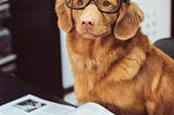 I Joined Substack… Now What?