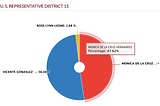 Pie chart of Texas U.S. Representative District 15 race results