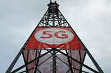 Is 5G Harmful To Humans, Animals And Plants?