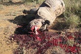 Rhinos and their horns are no match against Human Greed. But, we aim to change that.