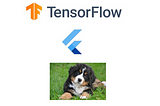 Dog Breed Identification App with Flutter and tflite in 10 mins.