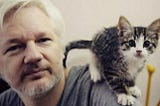 A Letter Template to Home Secretary Priti Patel Concerning Julian Assange’s Extradition