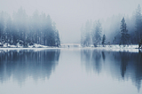 Why “The Winter Arc” Matters to the Fitness Industry