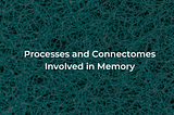 Memory: An Overview of Processes and Theories