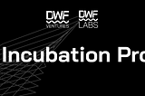 DWF Labs Incubation Program