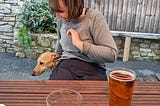 Long Autumn walks: Marine Drive, Barry to The Blue Anchor, East Aberthaw.