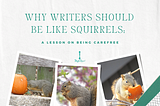 Why Writers Should Be Like Squirrels: A Lesson on Being Carefree