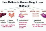 How To Lose Weight Fast On Metformin