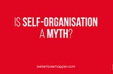 The image displays the article title: Is Self-Organisation a Myth?