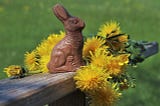 chocolate bunny with yellow dandelions