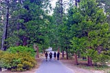 A walk in a state park with some good old friends. Photo: Ashwin Naidu, 2016.