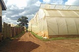 Do We Expect Too Much from Aquaponics